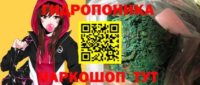 стафф Коммунар