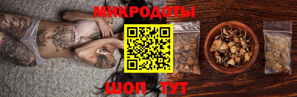 Псилоцибиновые грибы GOLDEN TEACHER Вольск