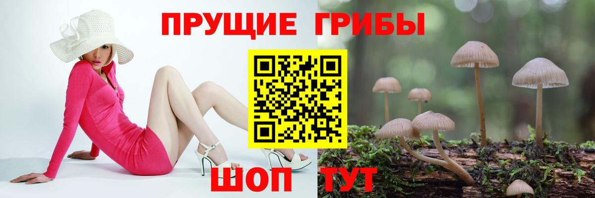 Галлюциногенные грибы MAGIC MUSHROOMS  Вход с VPN  Вольск  где можно купить   Псилоцибиновые грибы MAGIC MUSHROOMS 